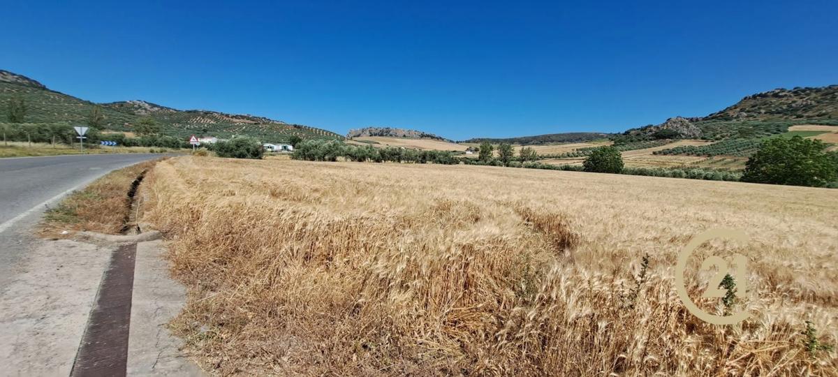 Terreno en venta en Ronda, Malaga photo 1