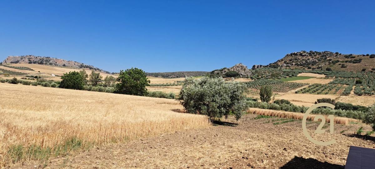 Terreno en venta en Ronda, Malaga photo 2
