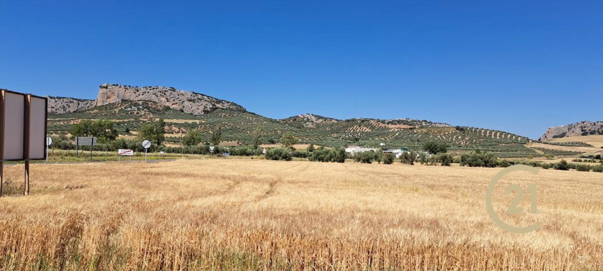 Terreno en venta en Ronda, Malaga photo 3