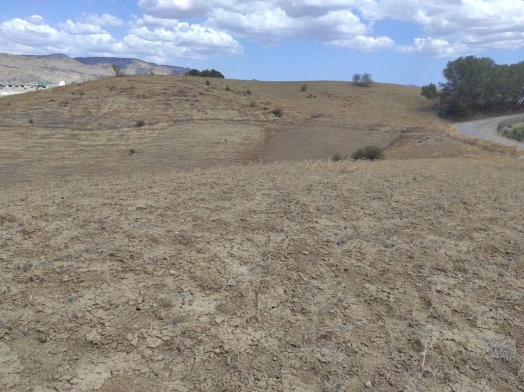Terreno en venta en Pizarra, Malaga photo 1