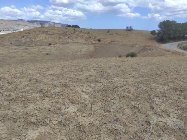 Terreno en Pizarra photo 1