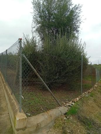 Terreno en avenida Reina Sofía, 190 photo 4