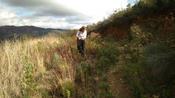 Terreno en Parque Natural Montes de Málaga s/n thumbnail 2