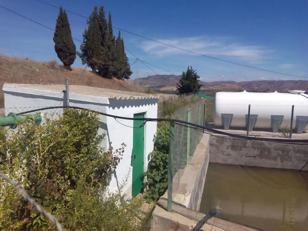 Terreno en venta en Cártama, Malaga photo 3
