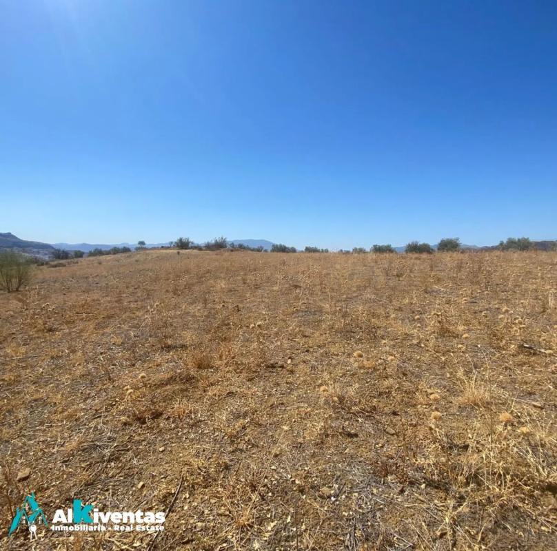 Terreno en venta en Campillos, Malaga photo 1