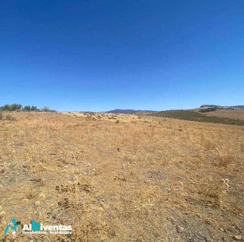 Terreno en venta en Campillos, Malaga photo 2