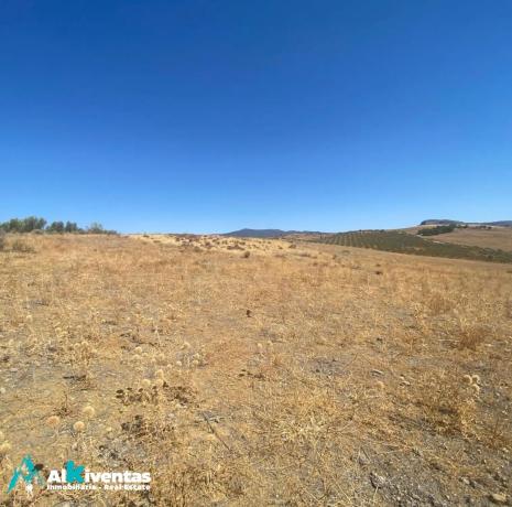 Terreno en Campillos photo 2