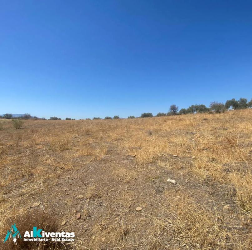 Terreno en venta en Campillos, Malaga photo 3
