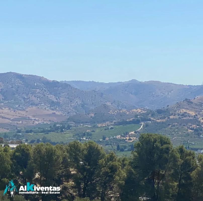 Terreno en venta en Campillos, Malaga photo 4