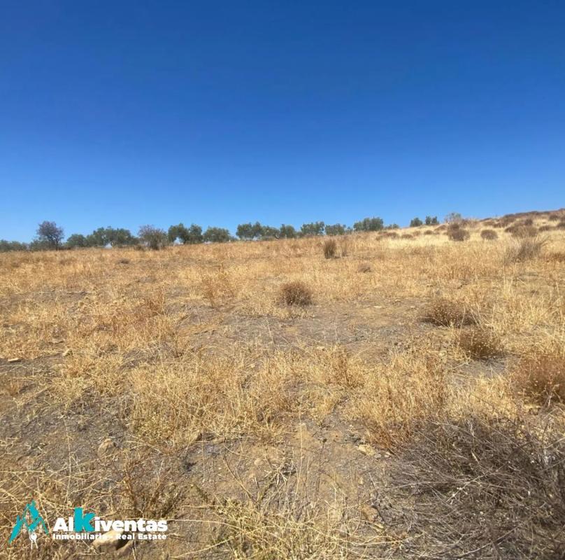 Terreno en venta en Campillos, Malaga photo 5