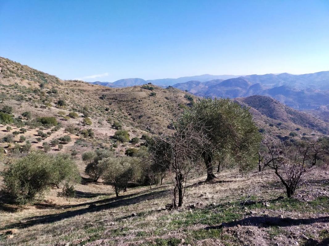 Działka na sprzedaż w Almogía, Malaga photo 3