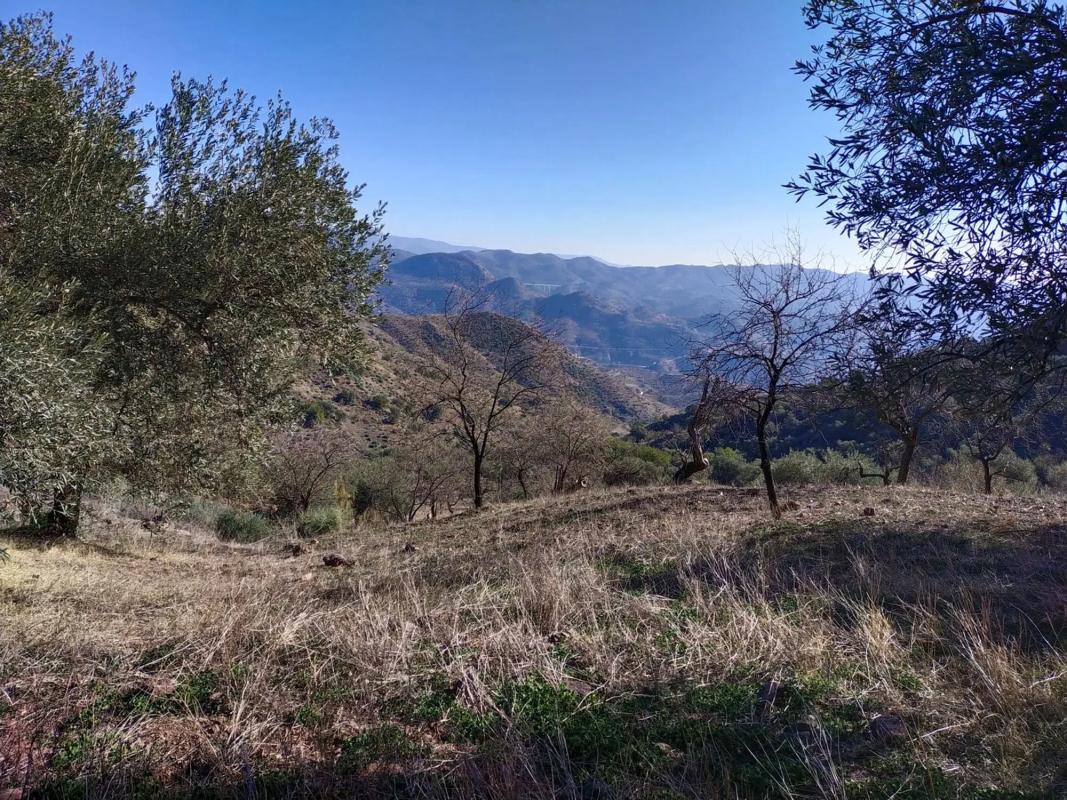 Działka na sprzedaż w Almogía, Malaga photo 4