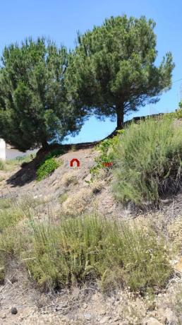 Terreno en Poligono photo 1