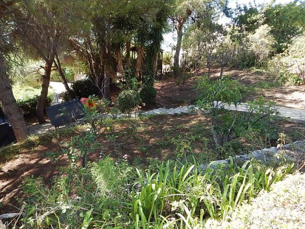 Terreno en Urbanización el Rosario, 387 thumbnail 2