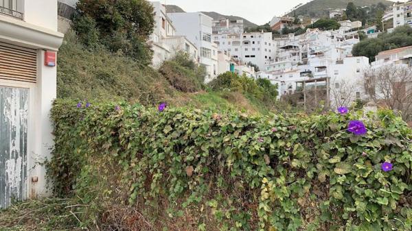 Terreno en Competa photo 1