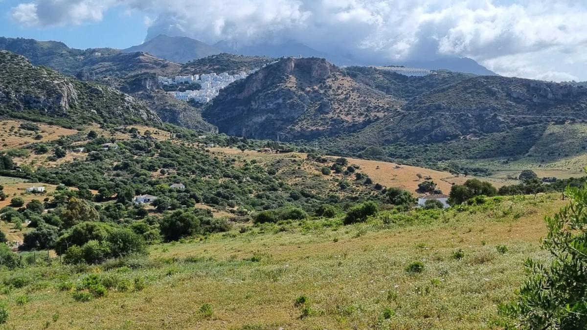 Działka na sprzedaż w Casares, Malaga photo 1