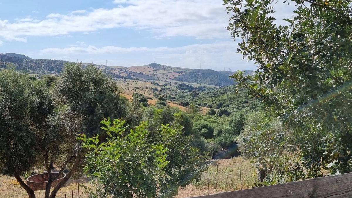 Działka na sprzedaż w Casares, Malaga photo 2