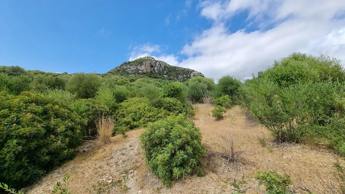 Działka na sprzedaż w Casares, Malaga photo 5