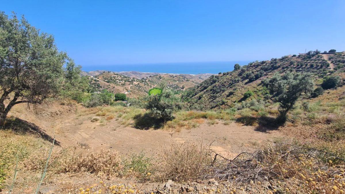 Terreno en venta en Sayalonga, Malaga photo 3