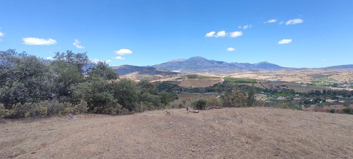 Działka na sprzedaż w Moneta, Malaga photo 1