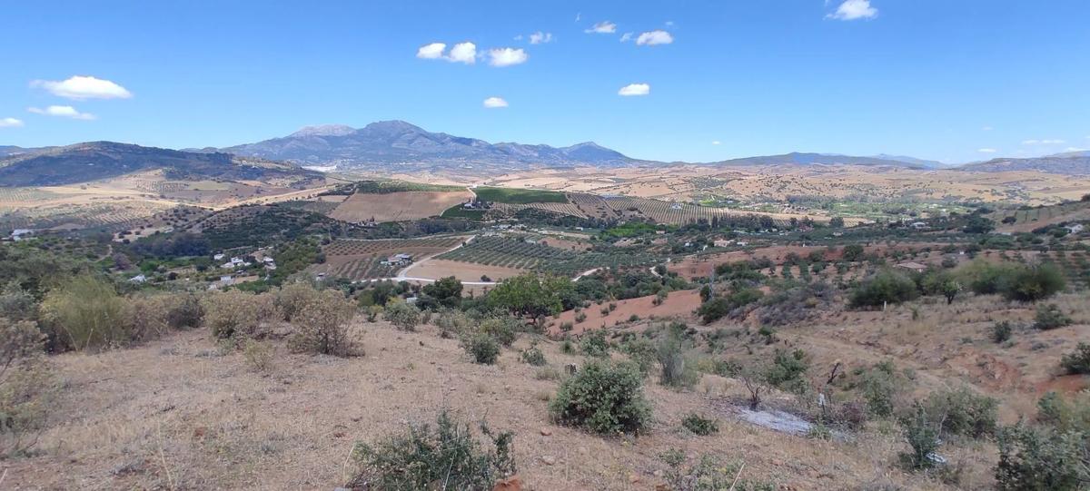 Działka na sprzedaż w Moneta, Malaga photo 4