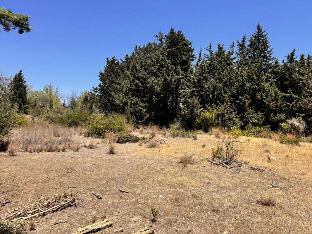 Terreno en venta en Estepona, Malaga photo 1