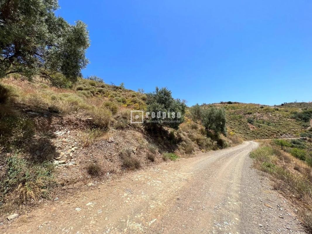 Terreno en venta en Moclinejo, Malaga photo 2