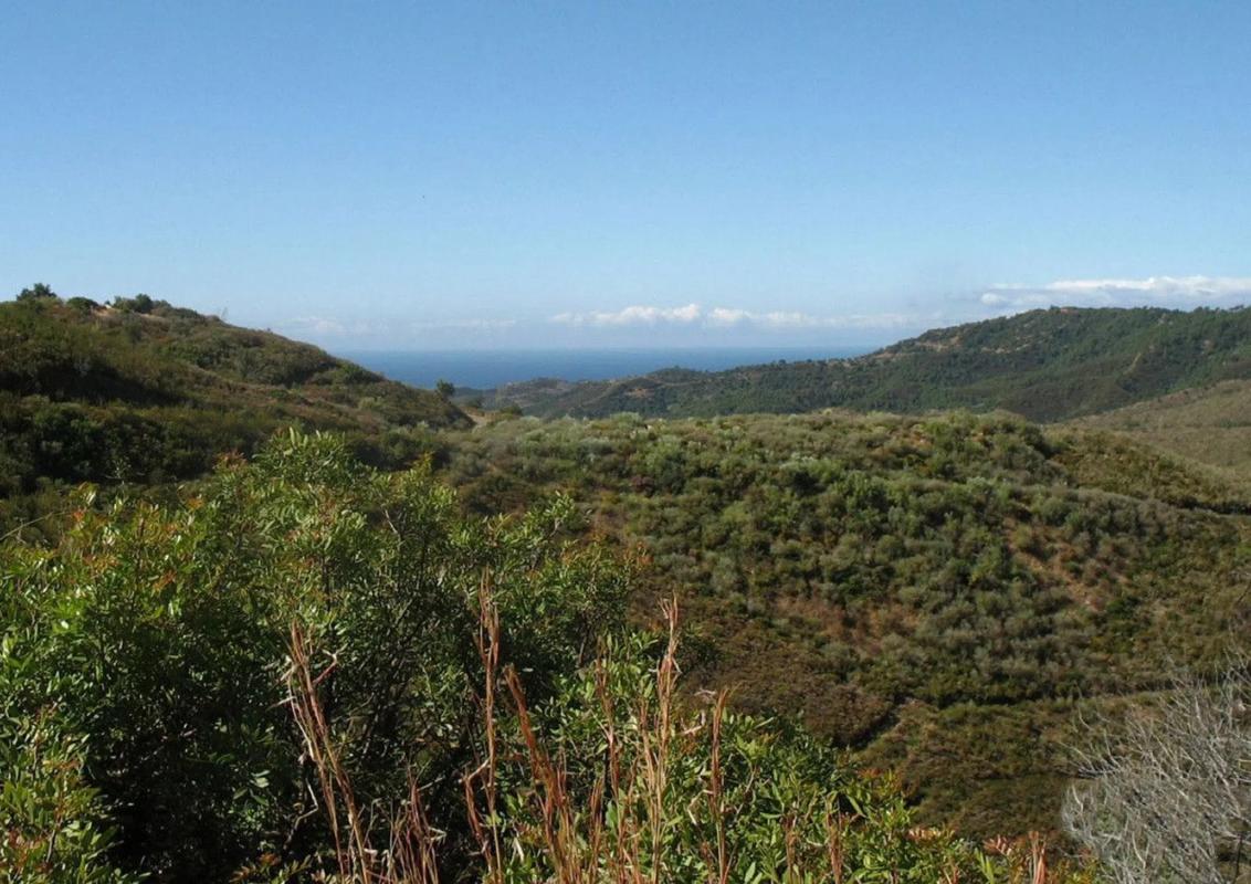 Działka na sprzedaż w Benahavís, Malaga photo 4
