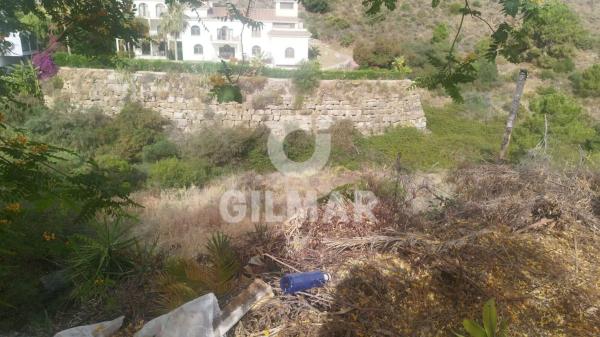 Terreno en calle Nogal photo 4