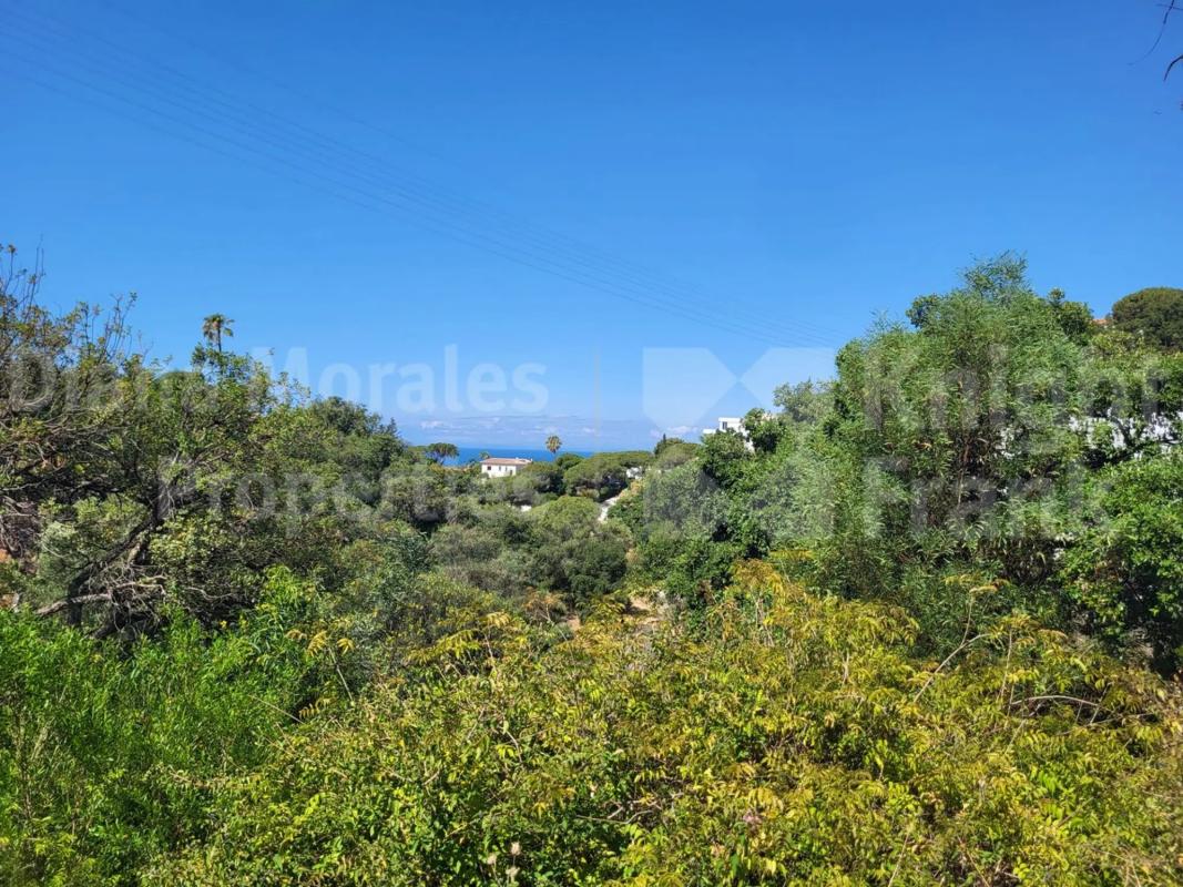 Terreno en venta en Marbella, Malaga photo 1