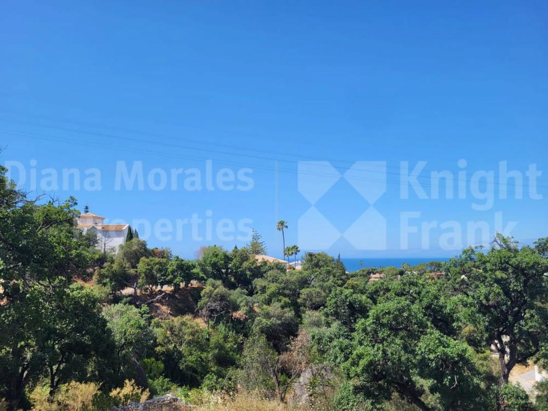 Terreno en venta en Marbella, Malaga photo 5