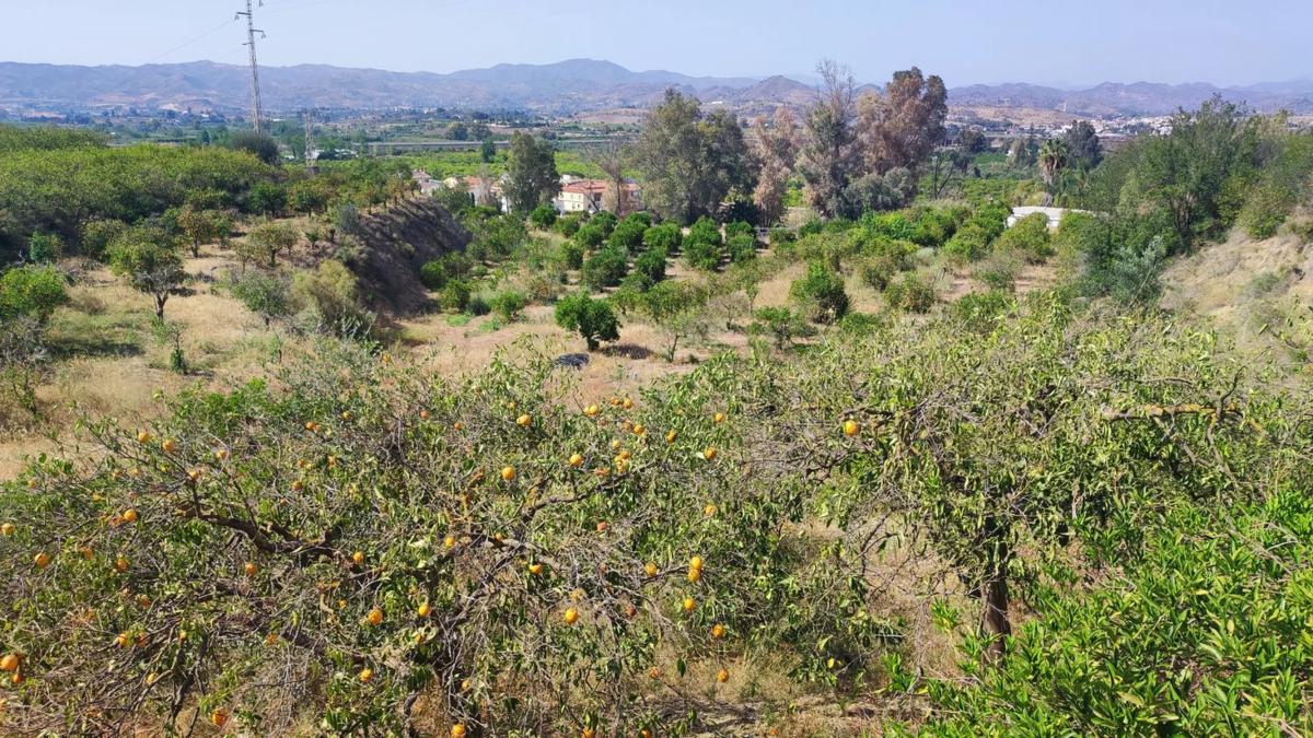 Terreno en venta en Cártama, Malaga photo 3