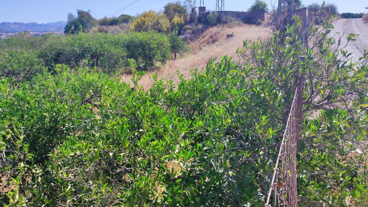 Terreno en venta en Cártama, Malaga photo 4