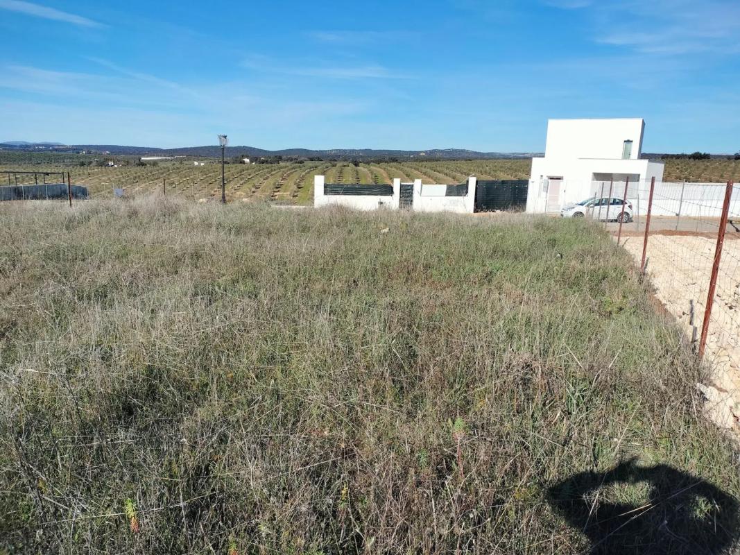 Land for sale in Arriate, Malaga photo 2