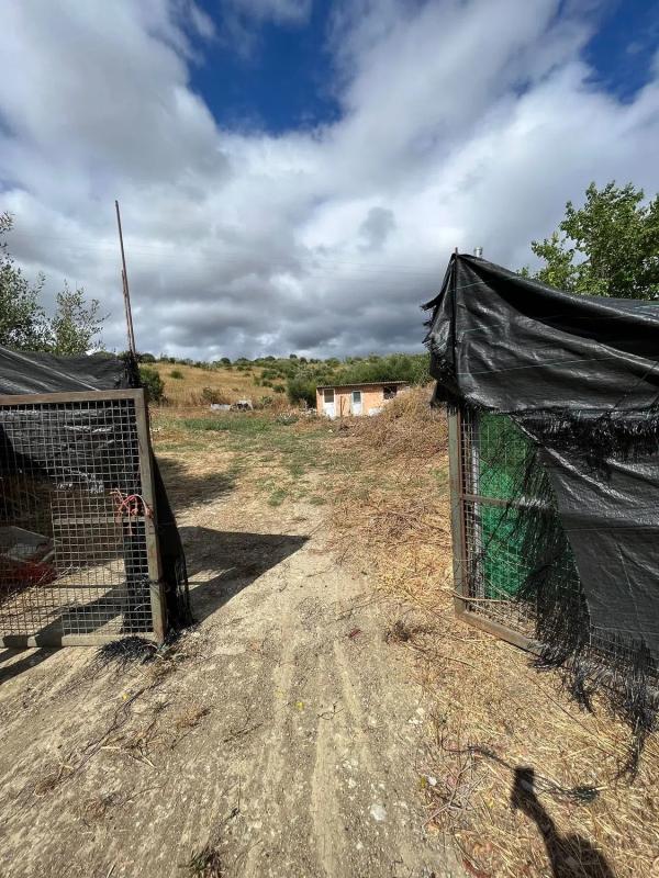 Terreno en venta en Gaucin, Malaga photo 3