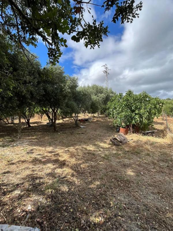 Terreno en venta en Gaucin, Malaga photo 4