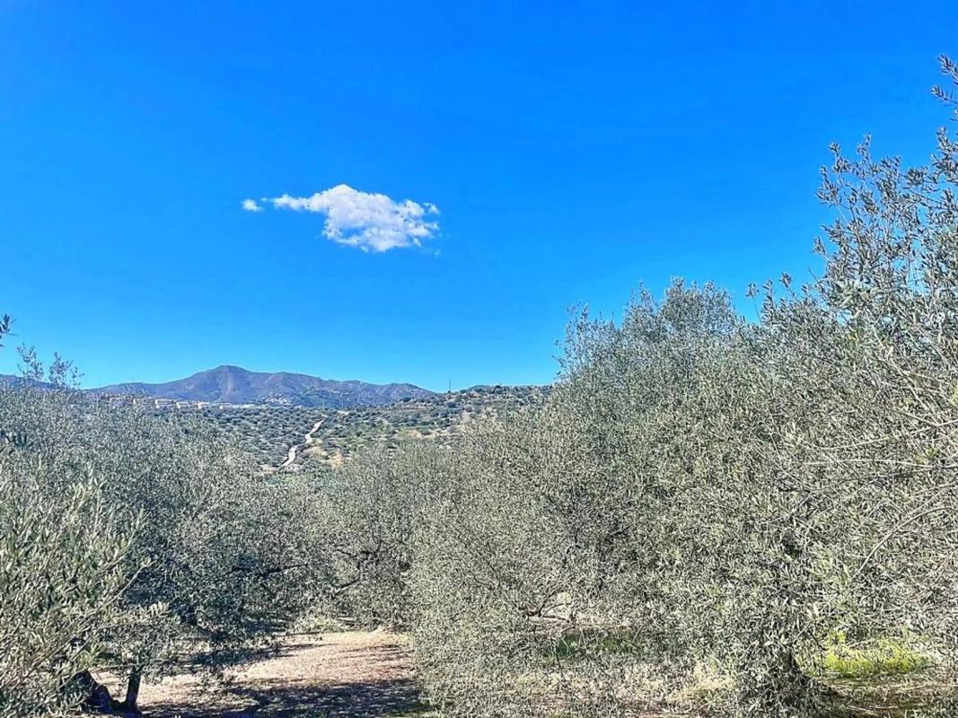 Terreno en venta en Viñuela, Malaga photo 2