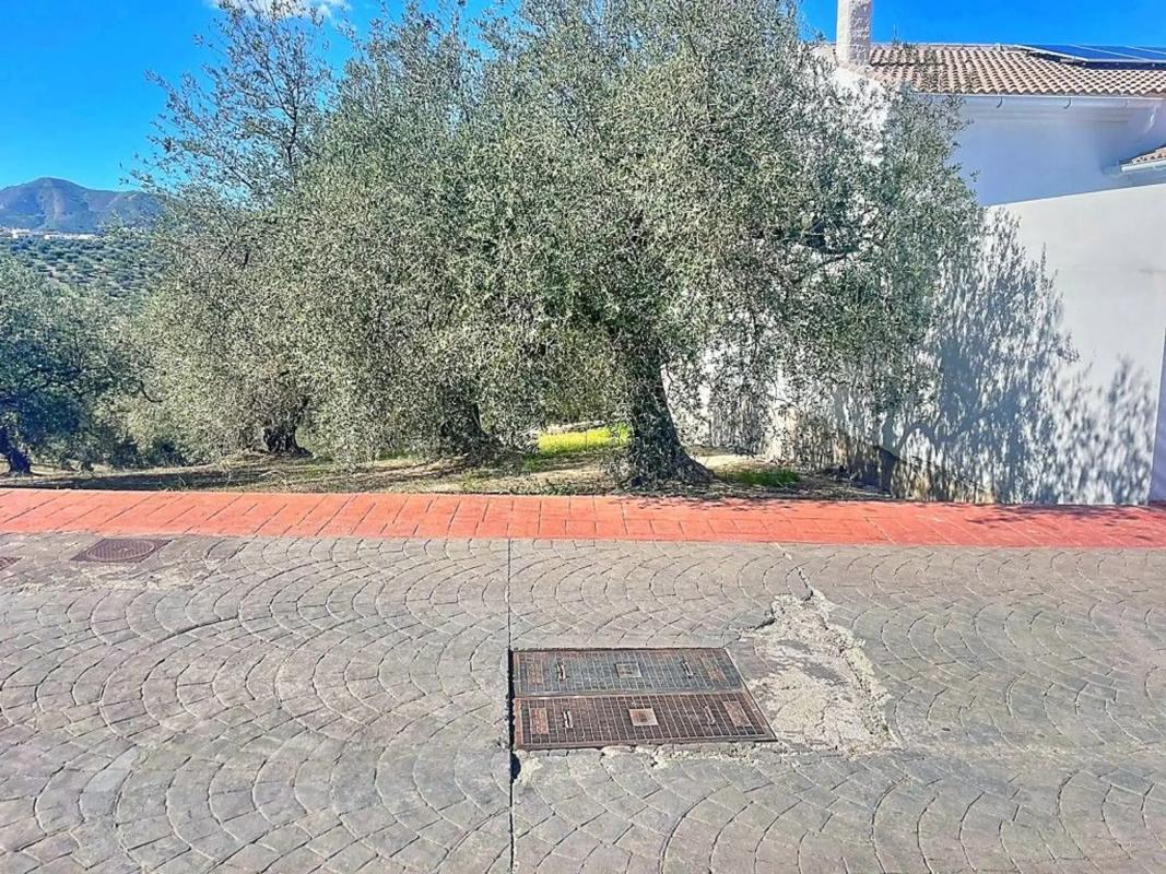 Terreno en venta en Viñuela, Malaga photo 3