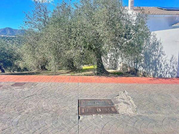 Terreno en Viñuela thumbnail 2