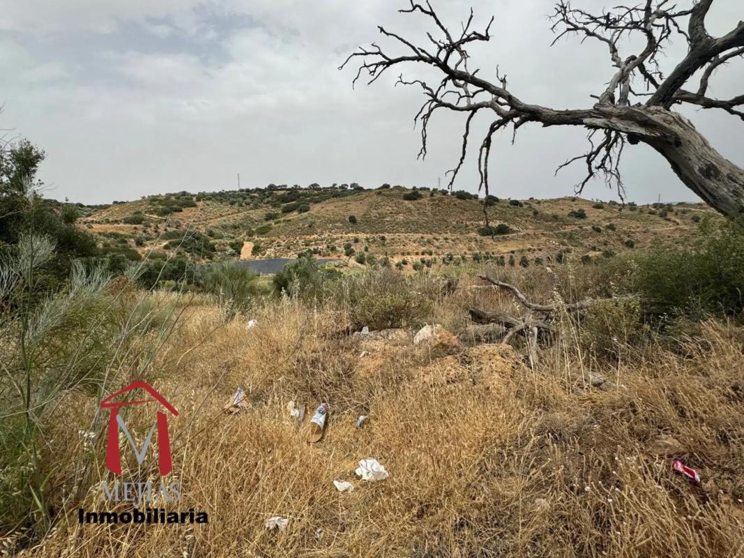 Land for sale in Antequera, Malaga photo 1