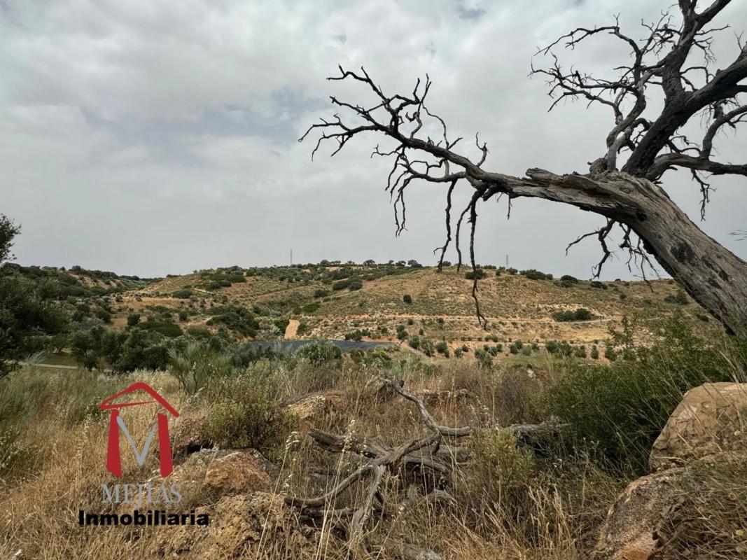 Land for sale in Antequera, Malaga photo 4