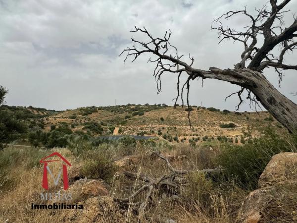 Terreno en Bobadilla - Bobadilla Estación - La Joya photo 4