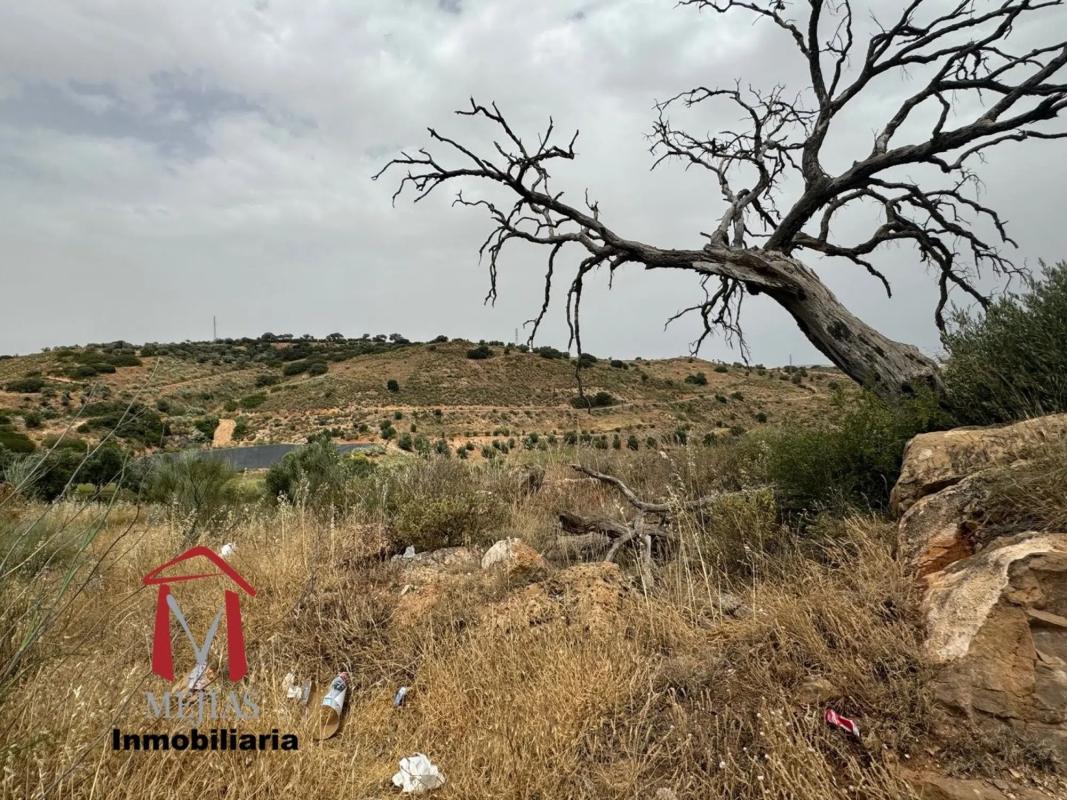 Land for sale in Antequera, Malaga photo 5