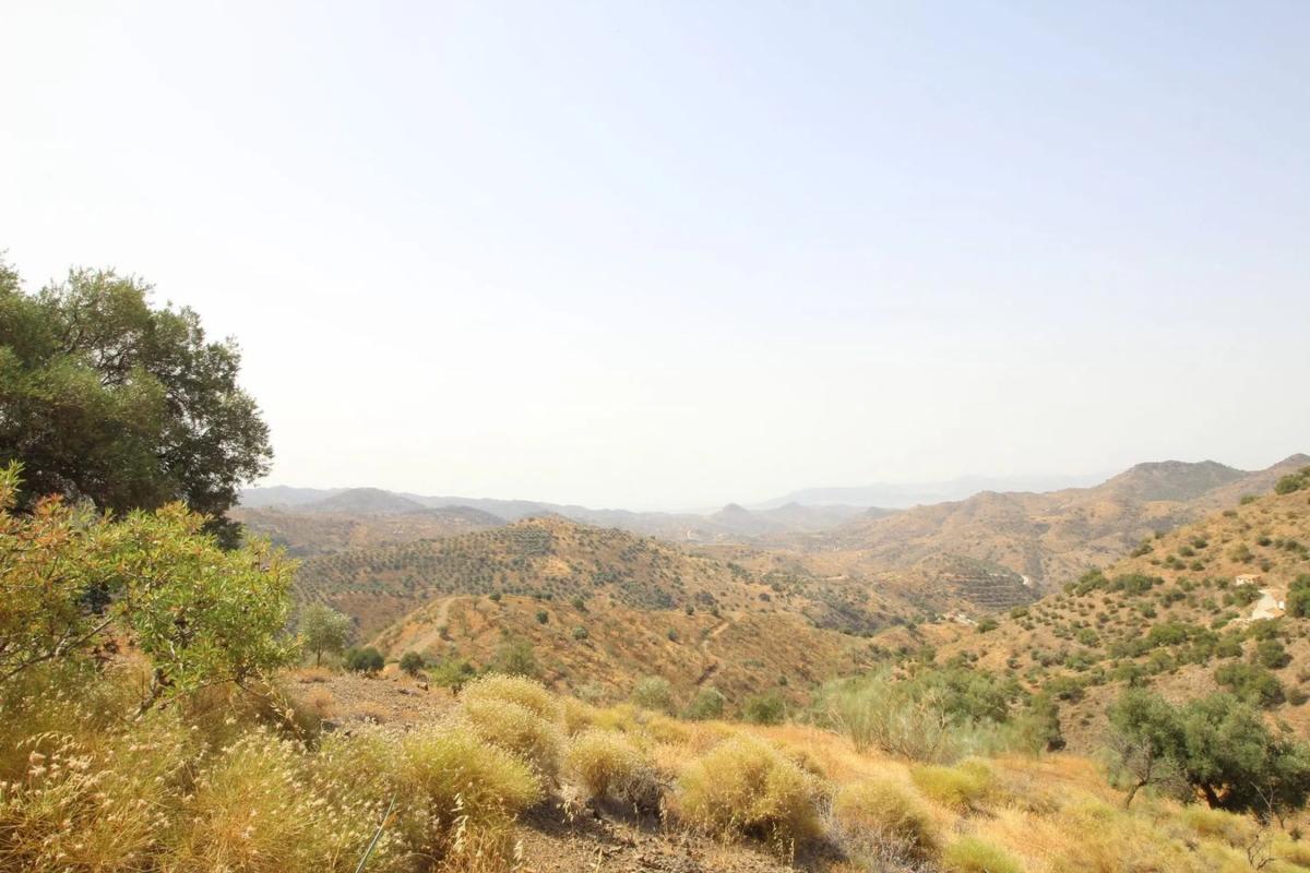 Terreno en venta en Almogía, Malaga photo 1