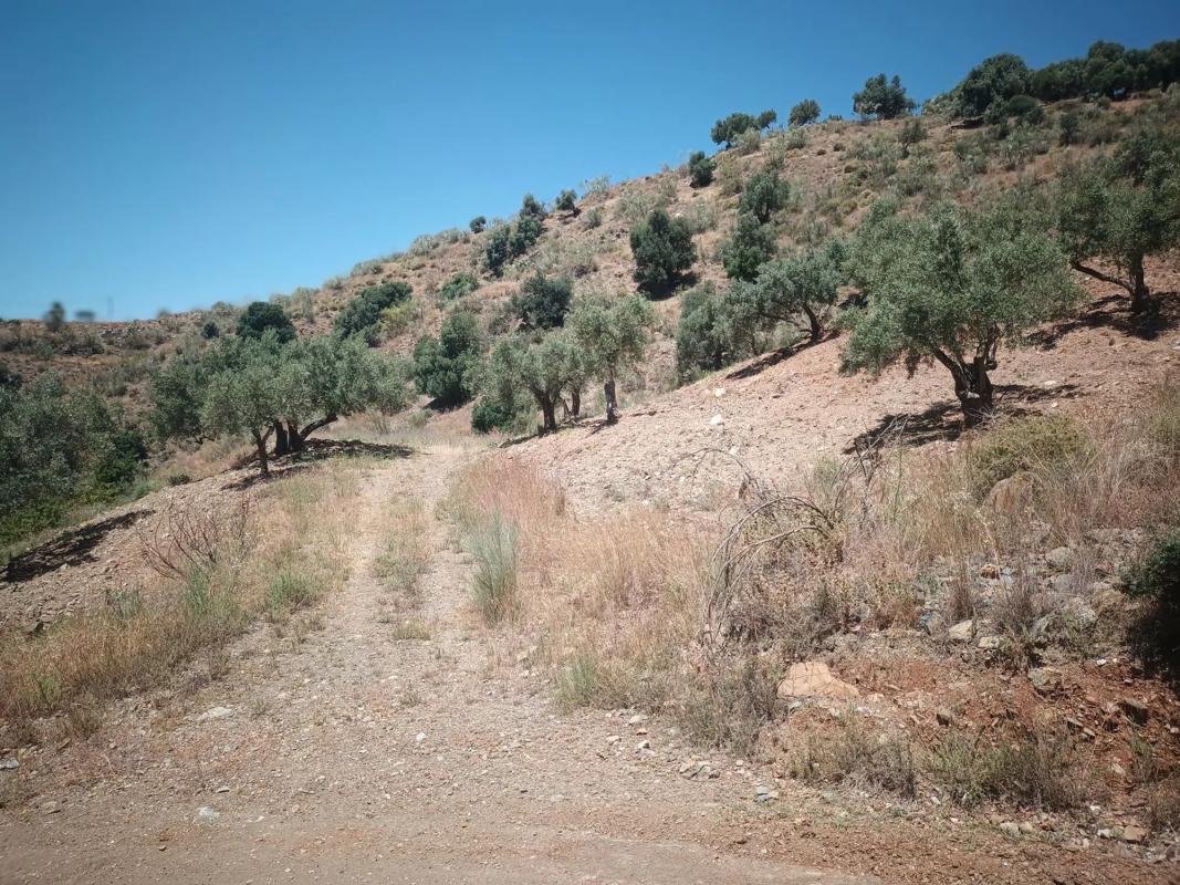 Land for sale in Moclinejo, Malaga photo 2