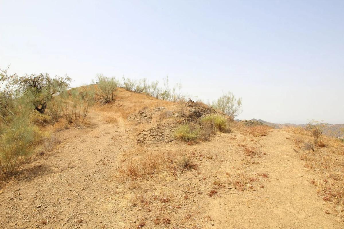 Terreno en venta en Almogía, Malaga photo 4