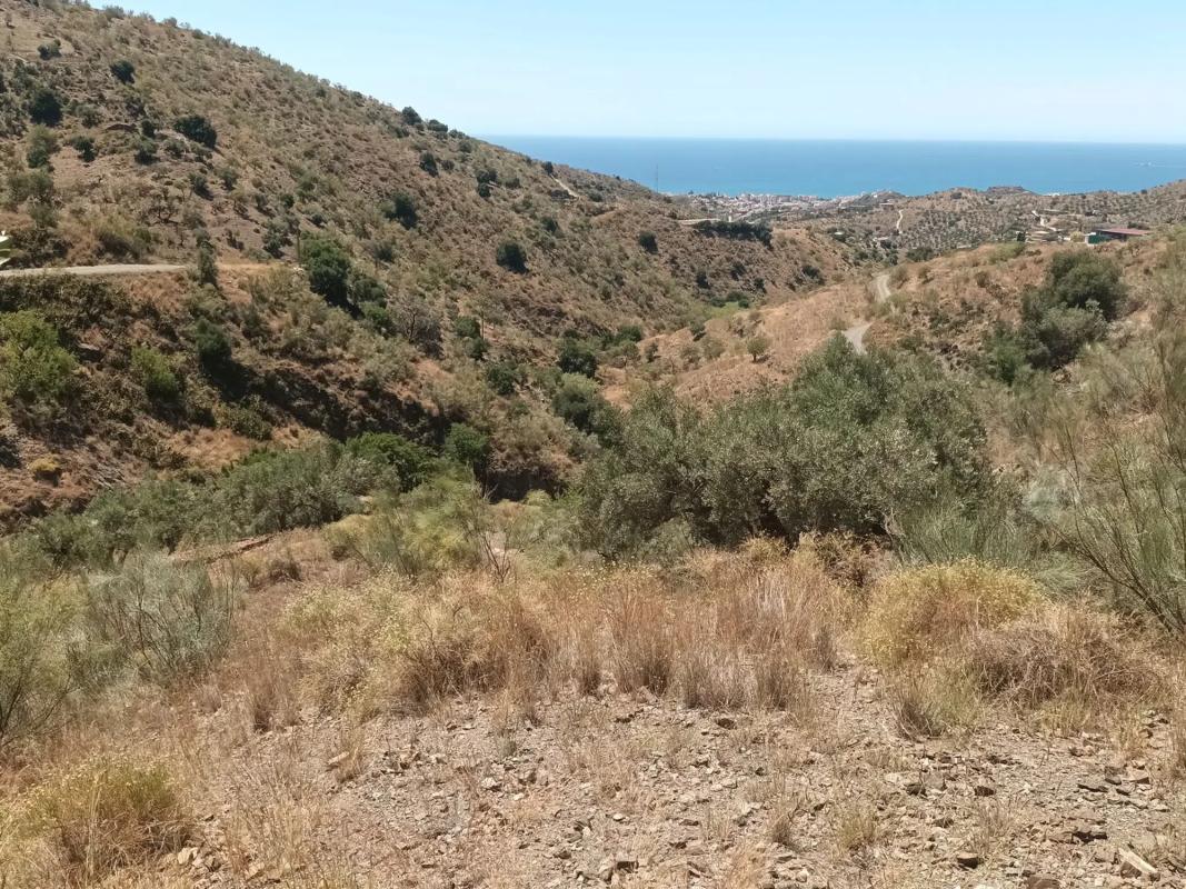 Land for sale in Moclinejo, Malaga photo 3