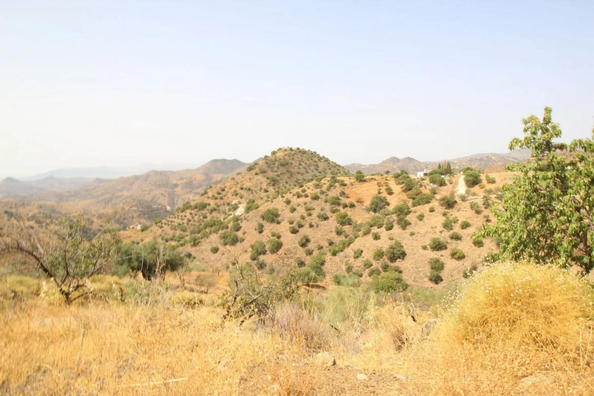 Terreno en venta en Almogía, Malaga photo 5