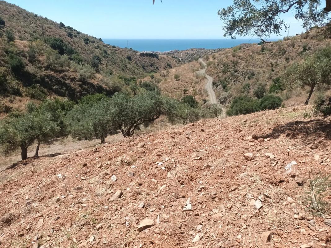 Land for sale in Moclinejo, Malaga photo 4