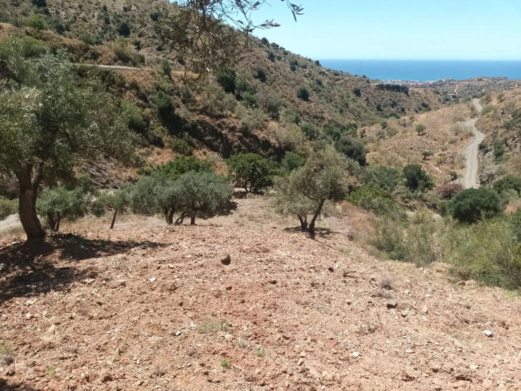 Land for sale in Moclinejo, Malaga photo 5